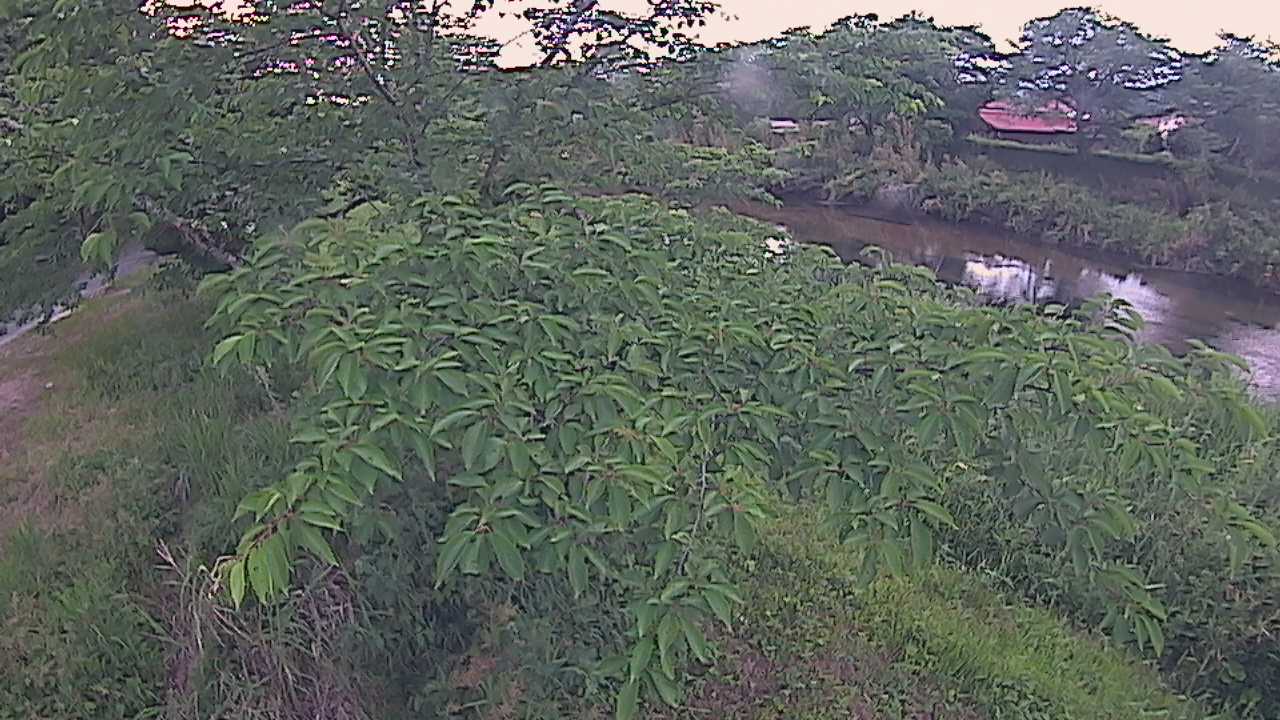 城山　法勝寺川 10k540 左岸