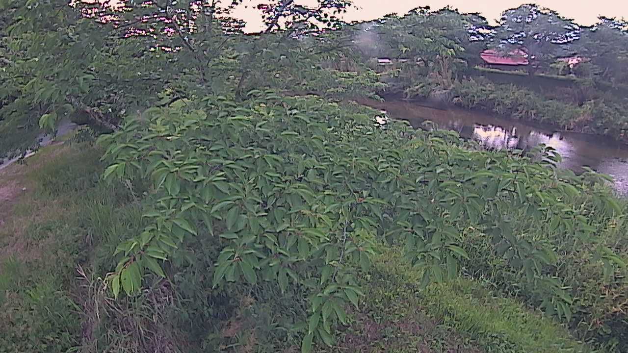 城山　法勝寺川 10k540 左岸