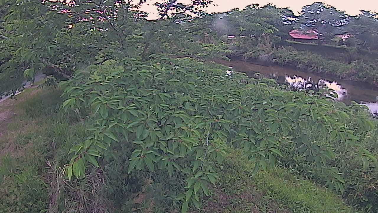 城山　法勝寺川 10k540 左岸
