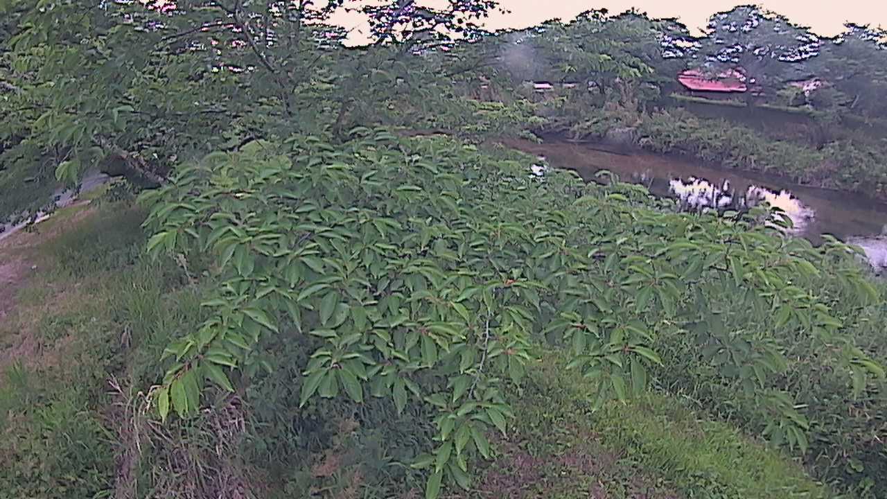 城山　法勝寺川 10k540 左岸