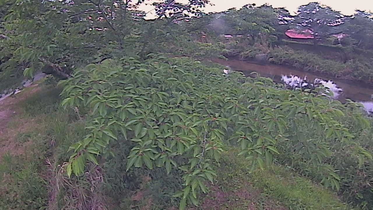城山　法勝寺川 10k540 左岸