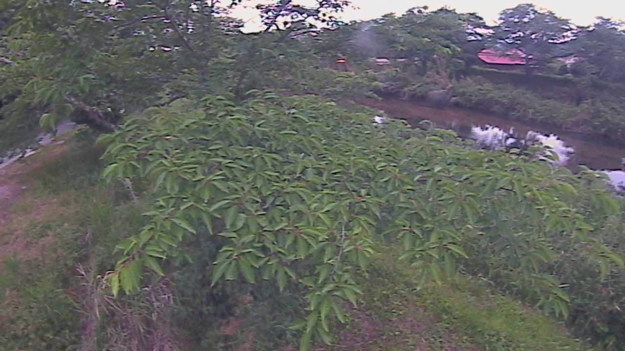 城山　法勝寺川 10k540 左岸