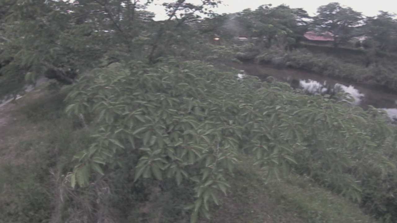 城山　法勝寺川 10k540 左岸