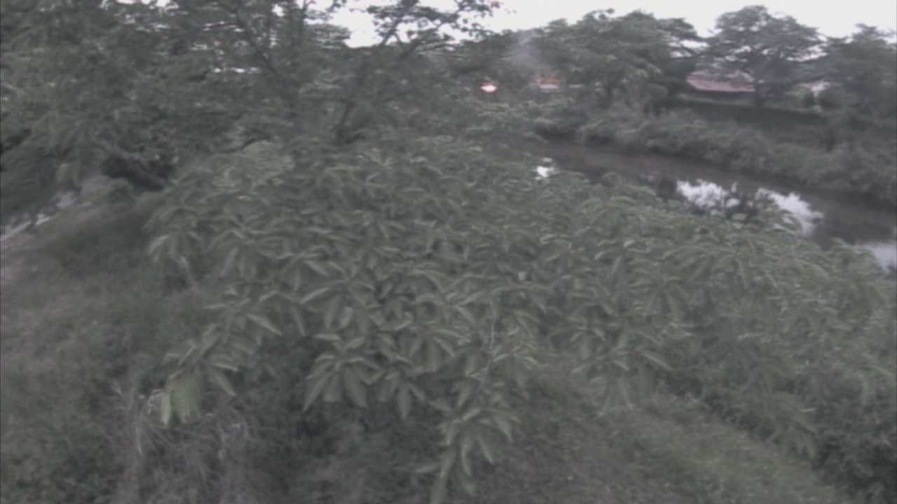城山　法勝寺川 10k540 左岸