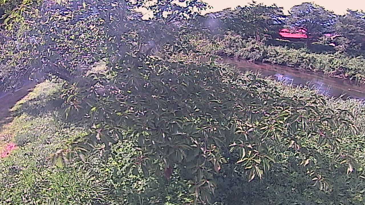 城山　法勝寺川 10k540 左岸