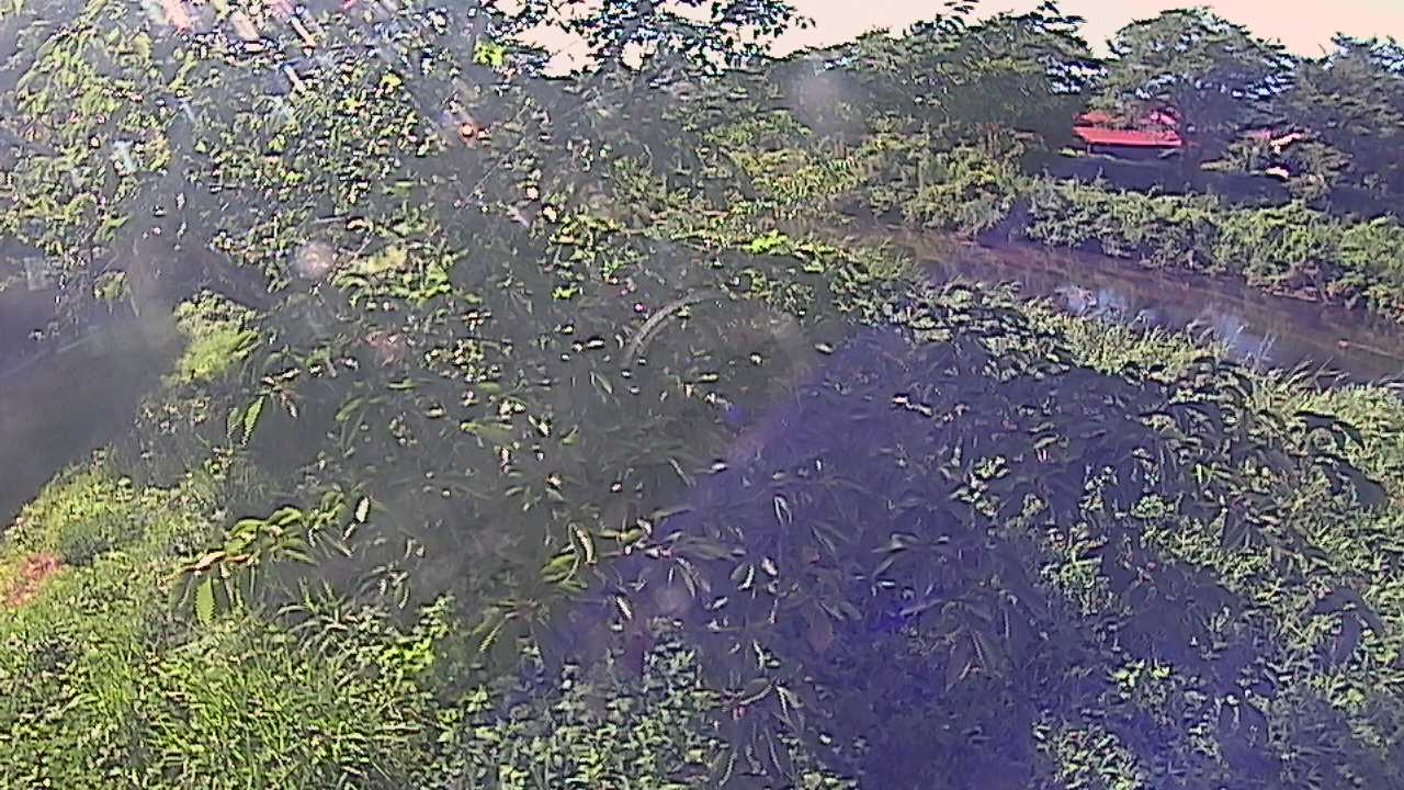 城山　法勝寺川 10k540 左岸
