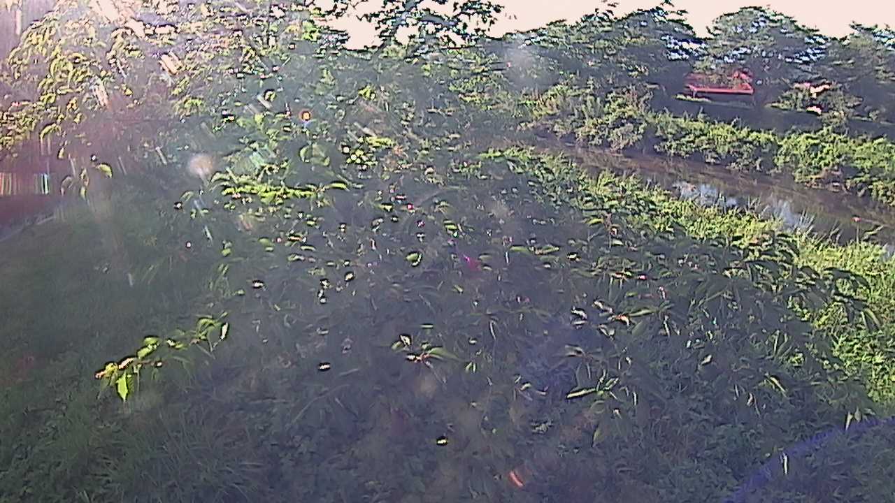 城山　法勝寺川 10k540 左岸