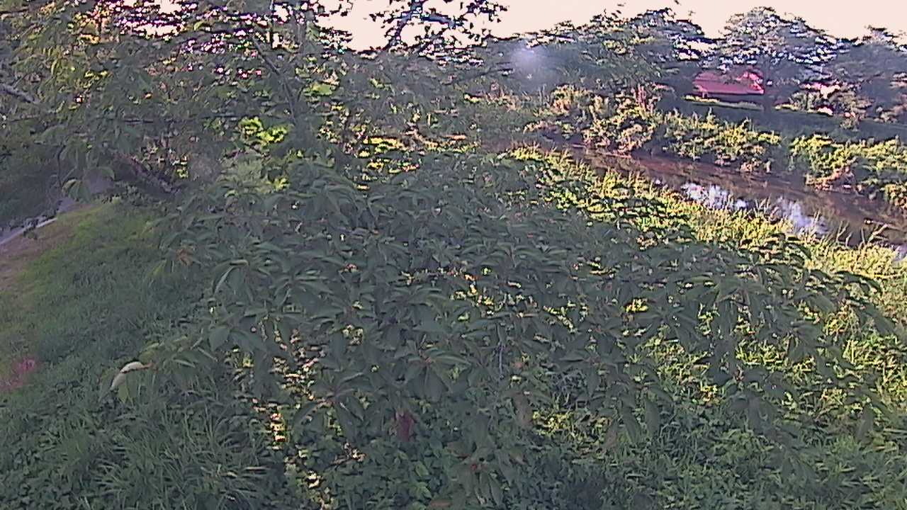 城山　法勝寺川 10k540 左岸