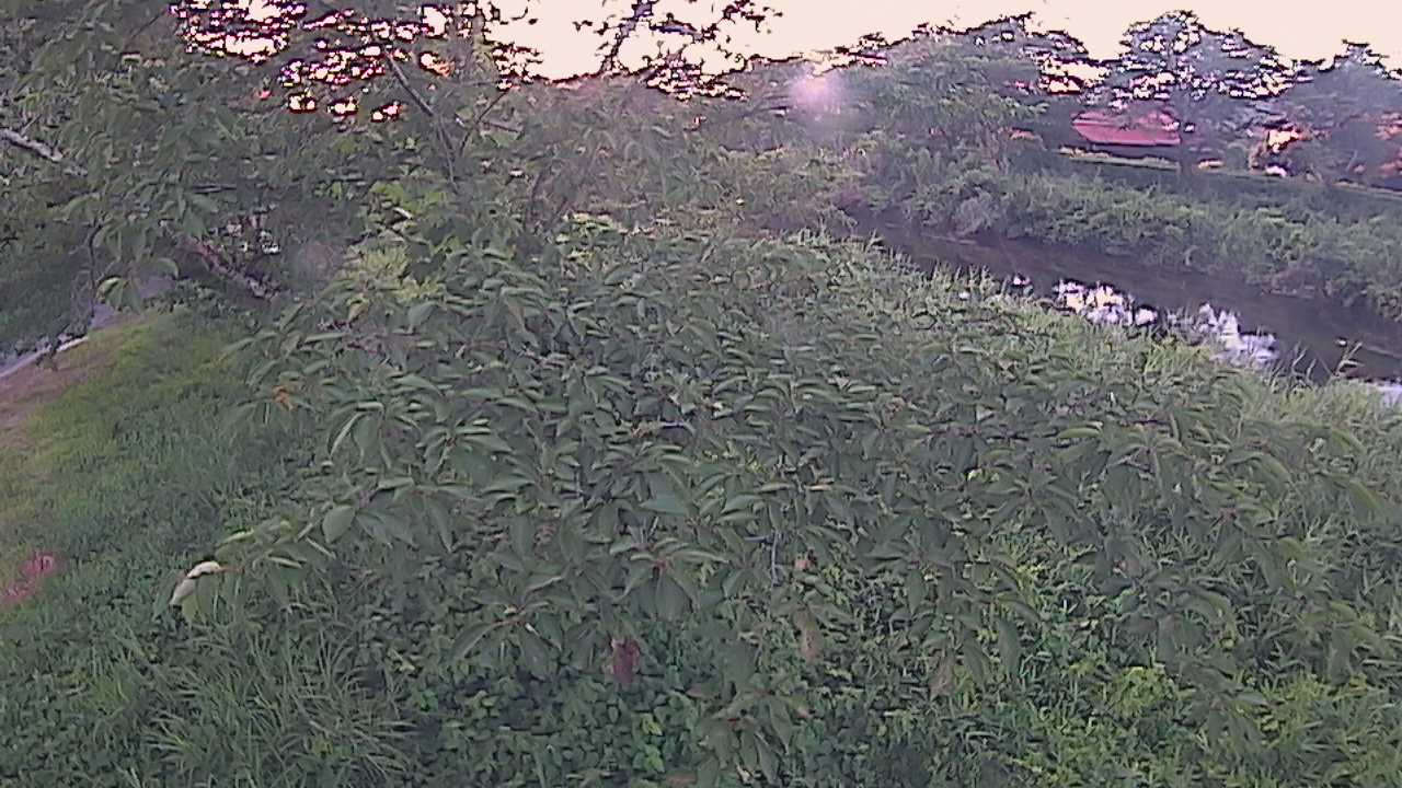 城山　法勝寺川 10k540 左岸