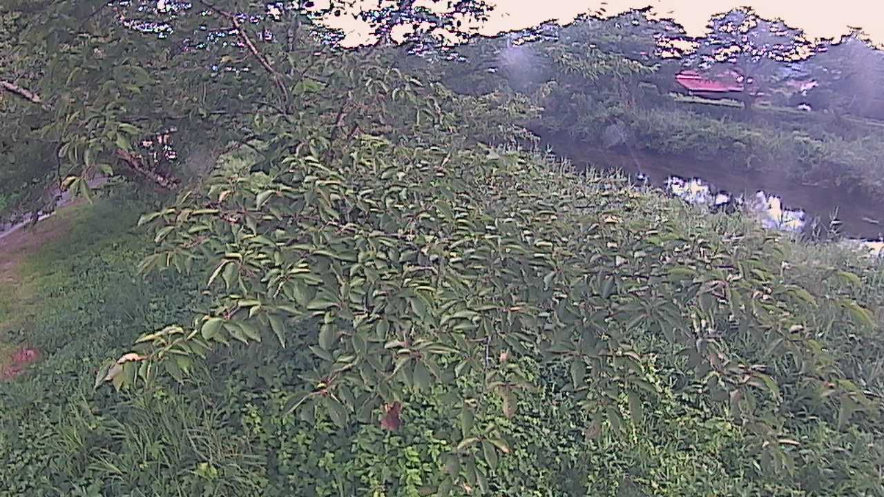 城山　法勝寺川 10k540 左岸