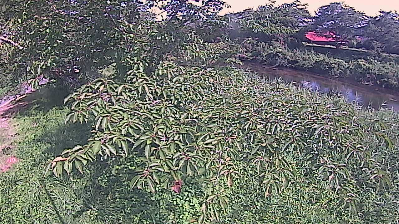 城山　法勝寺川 10k540 左岸