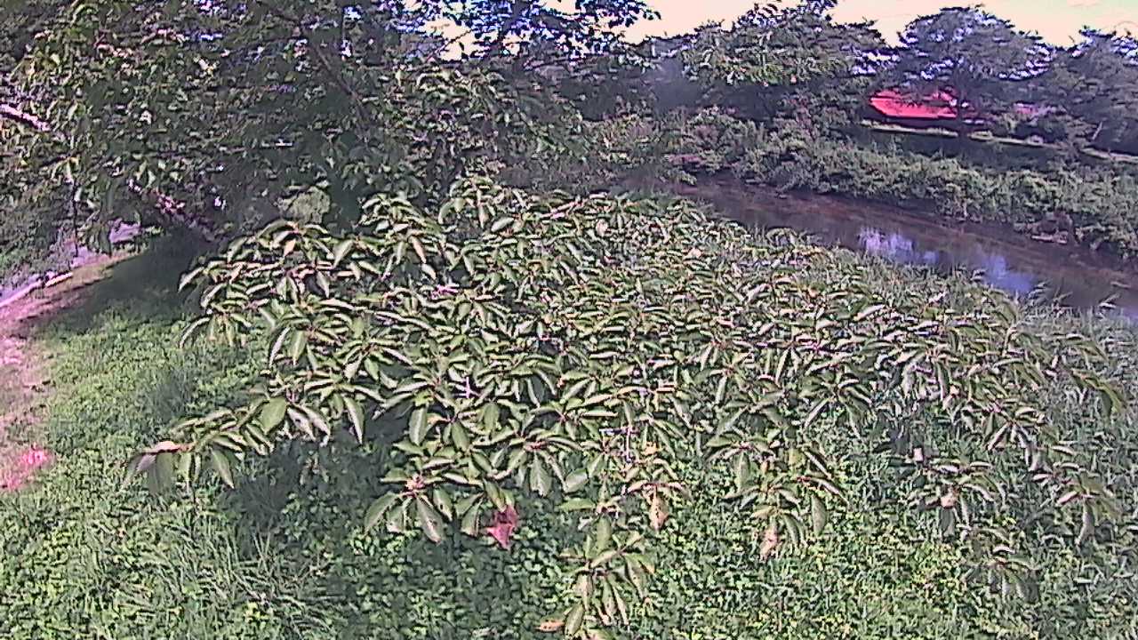城山　法勝寺川 10k540 左岸