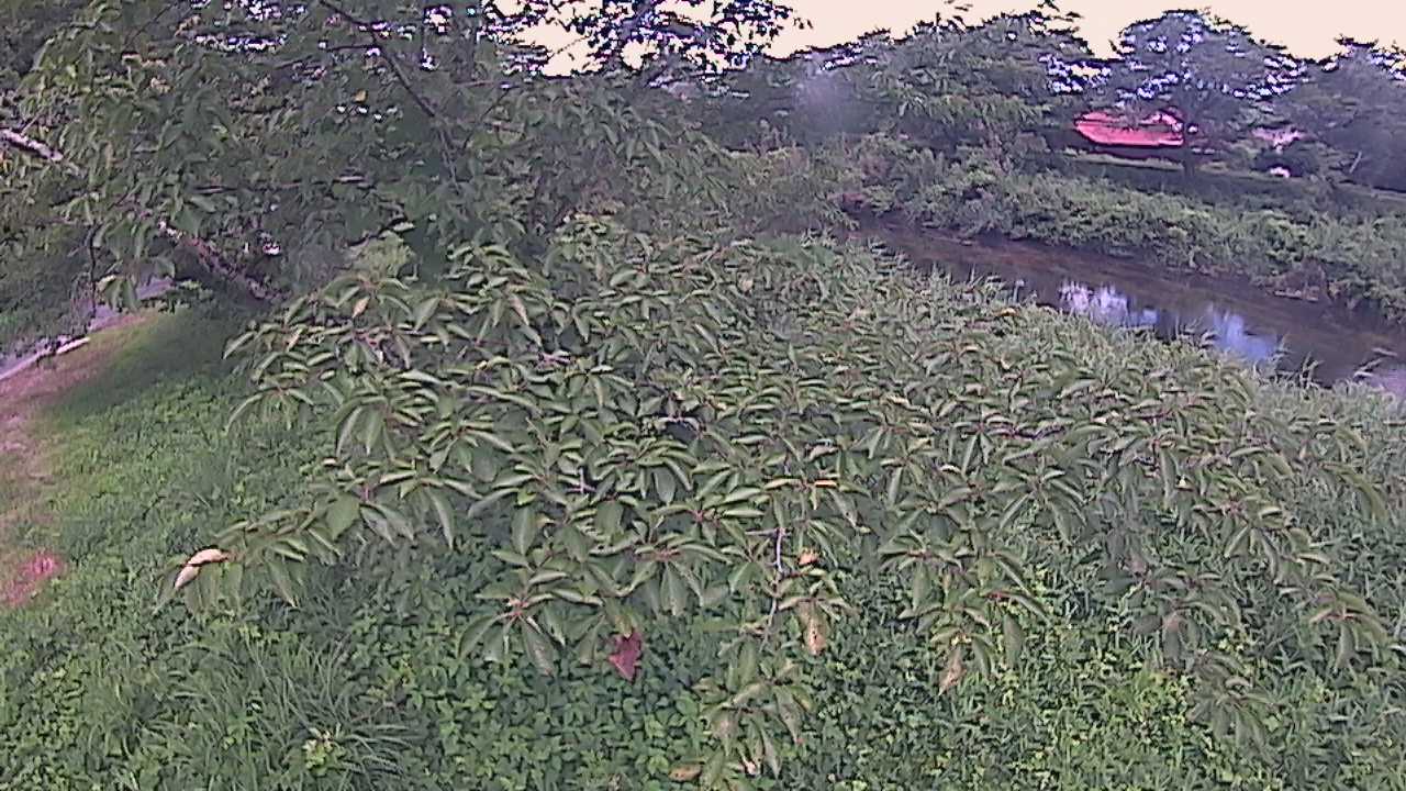 城山　法勝寺川 10k540 左岸