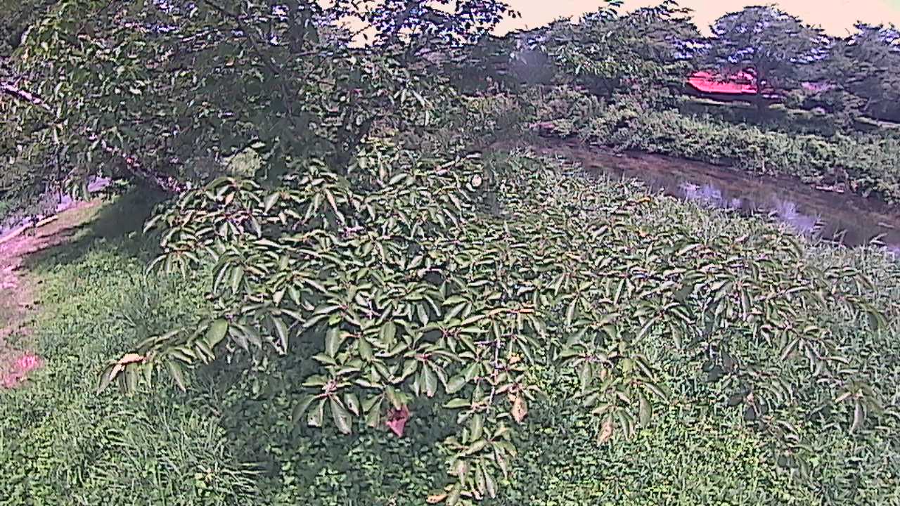 城山　法勝寺川 10k540 左岸