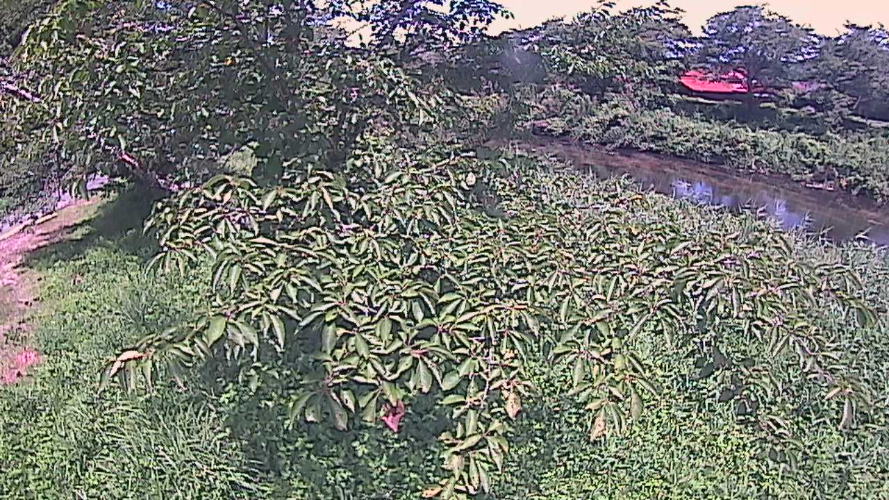 城山　法勝寺川 10k540 左岸