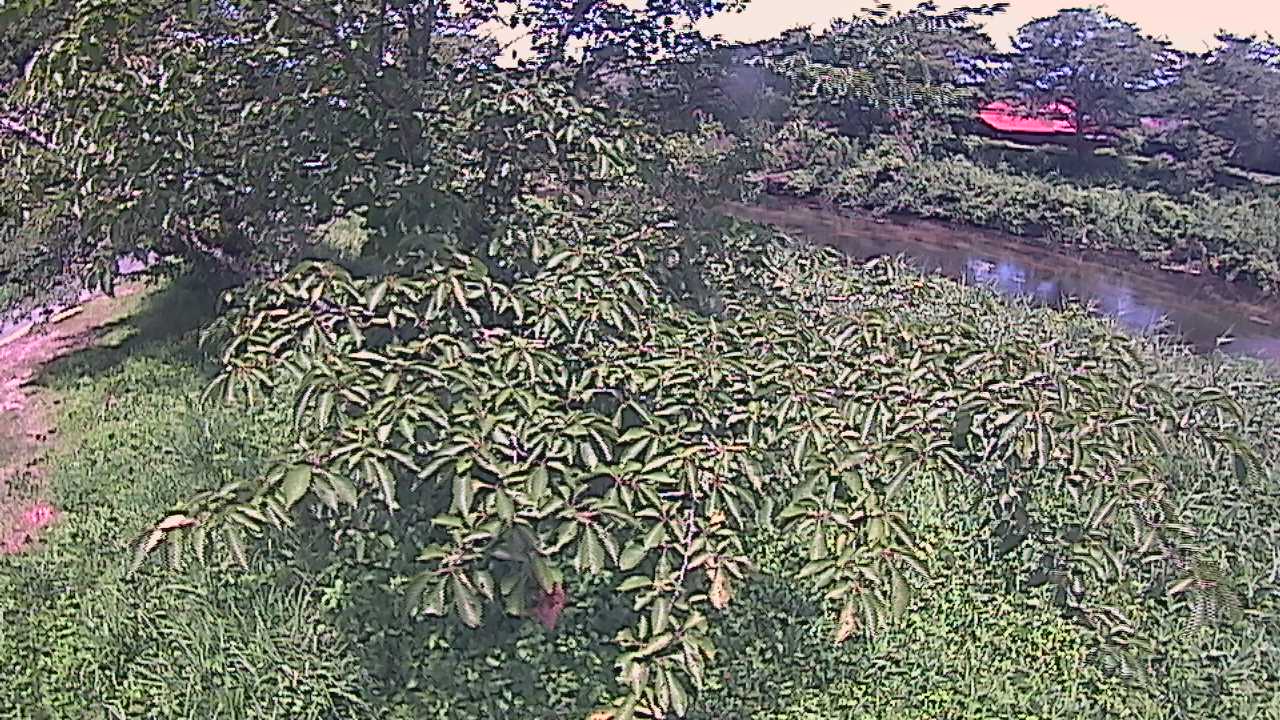 城山　法勝寺川 10k540 左岸