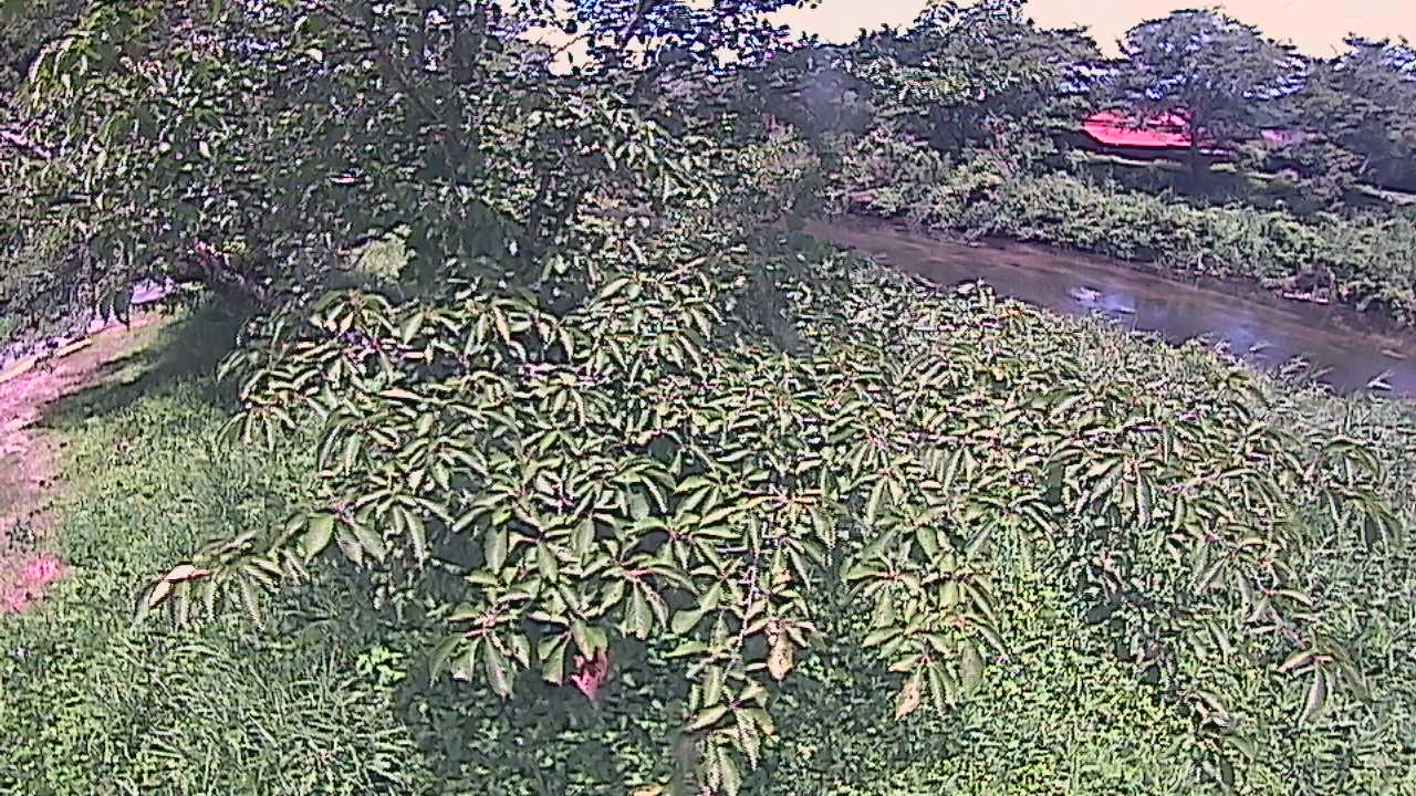 城山　法勝寺川 10k540 左岸