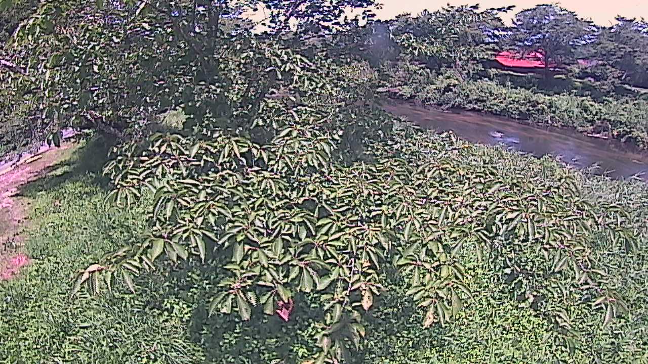 城山　法勝寺川 10k540 左岸