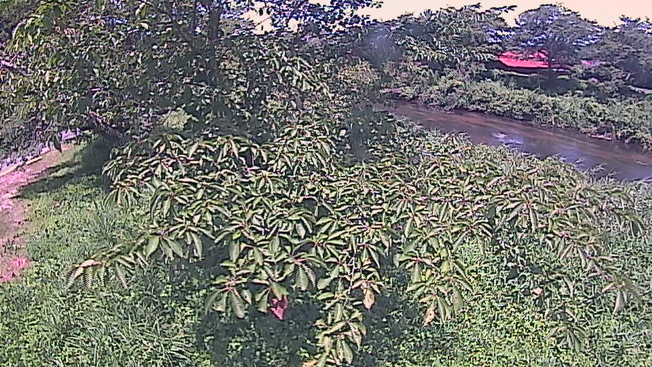 城山　法勝寺川 10k540 左岸