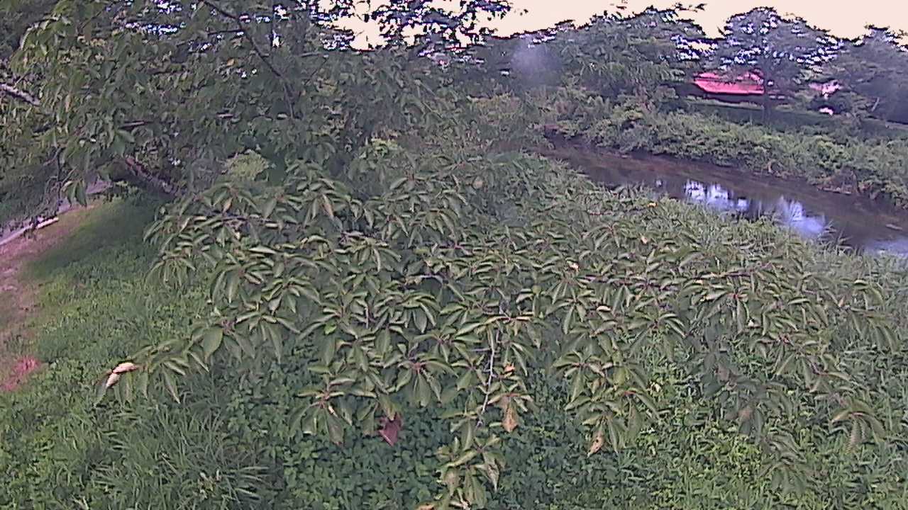 城山　法勝寺川 10k540 左岸