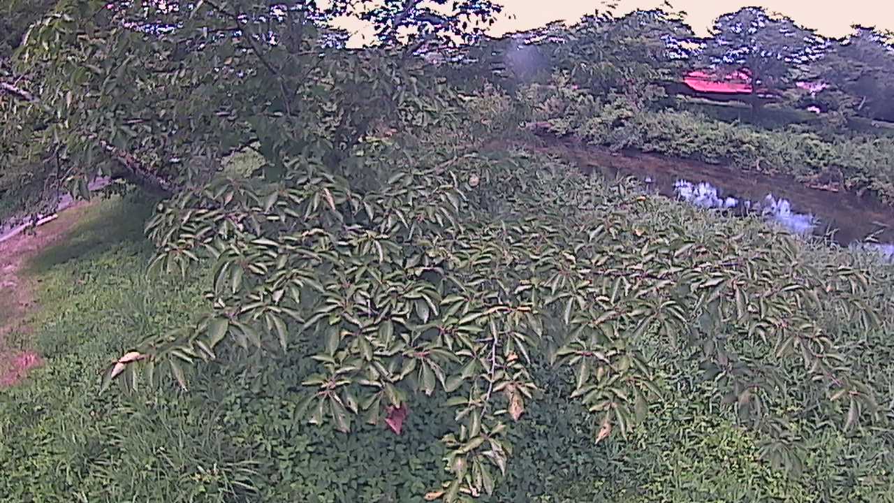 城山　法勝寺川 10k540 左岸