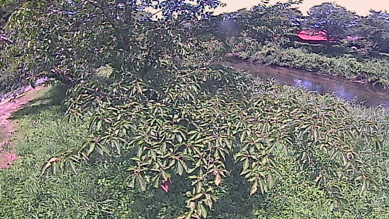 城山　法勝寺川 10k540 左岸