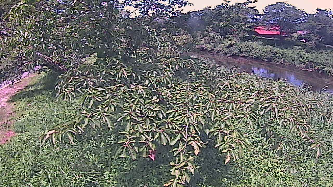 城山　法勝寺川 10k540 左岸