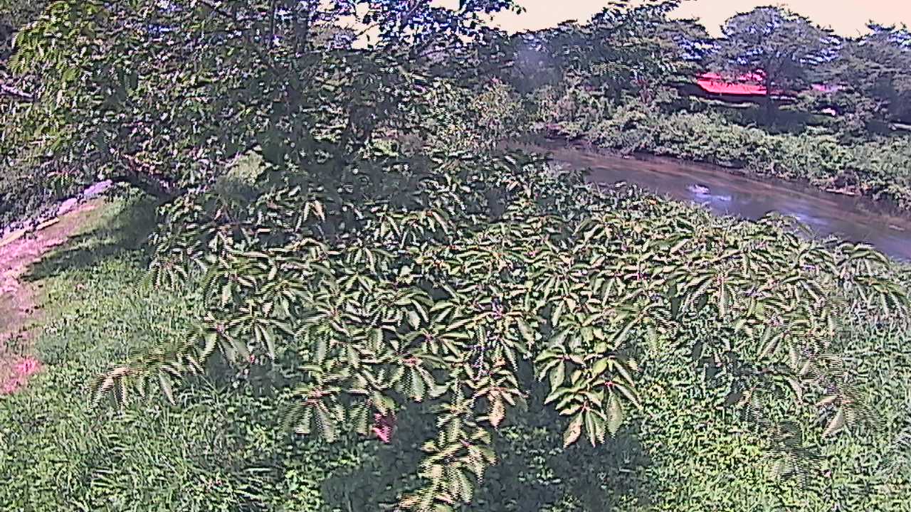 城山　法勝寺川 10k540 左岸
