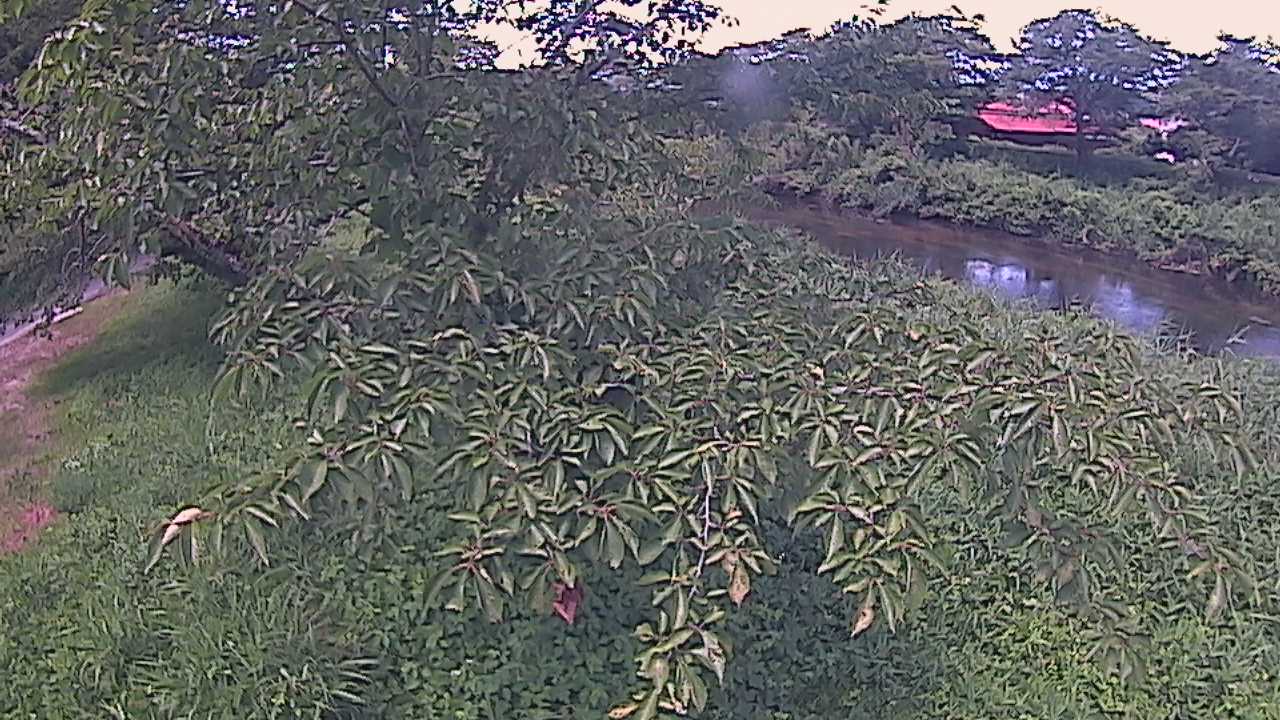 城山　法勝寺川 10k540 左岸