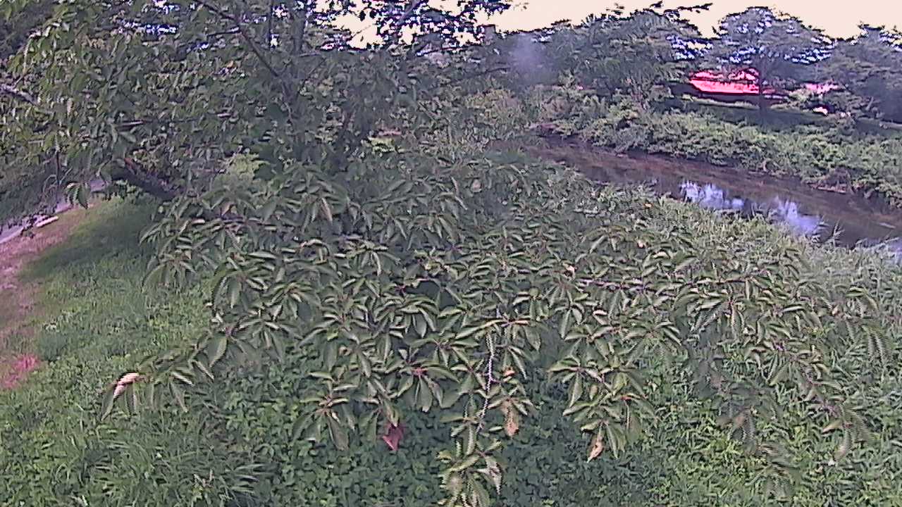 城山　法勝寺川 10k540 左岸