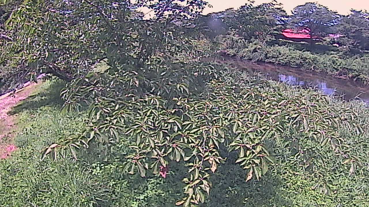 城山　法勝寺川 10k540 左岸