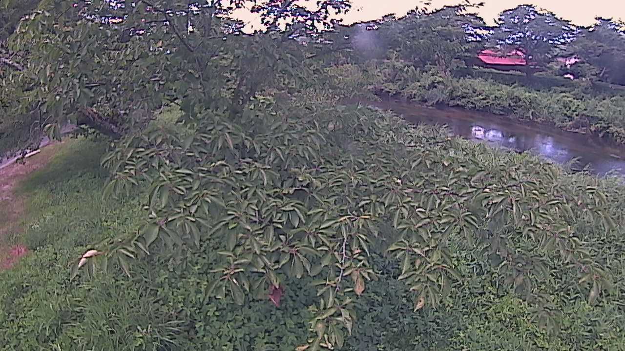 城山　法勝寺川 10k540 左岸