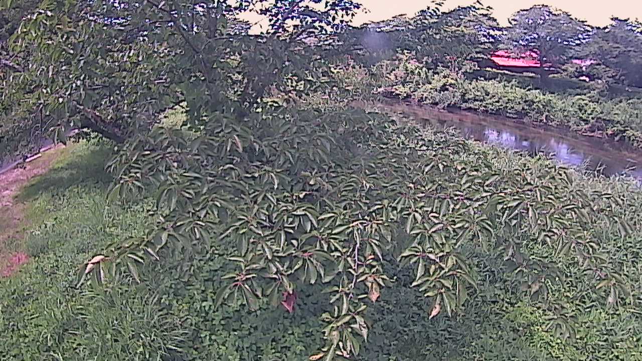 城山　法勝寺川 10k540 左岸