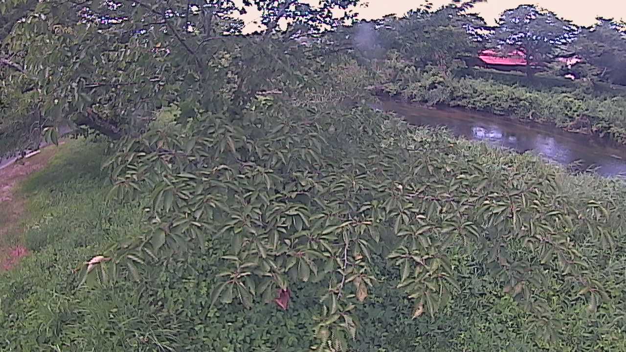 城山　法勝寺川 10k540 左岸