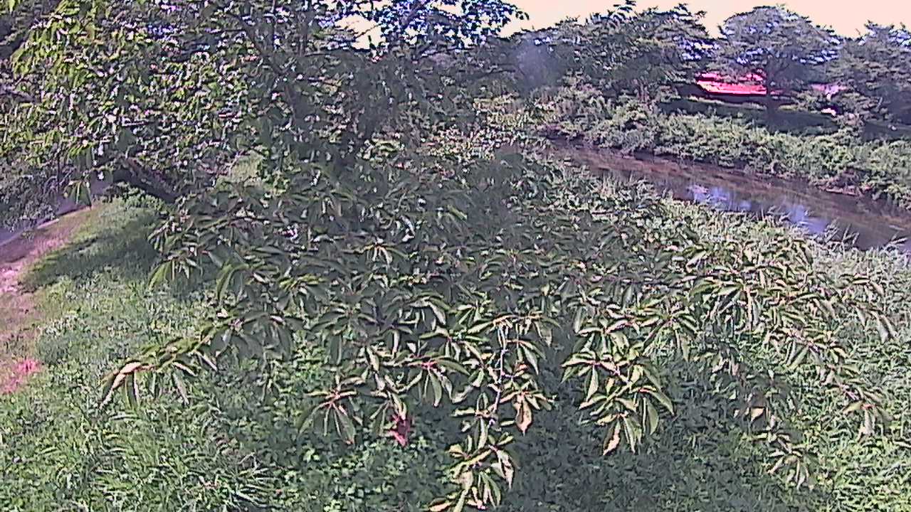 城山　法勝寺川 10k540 左岸