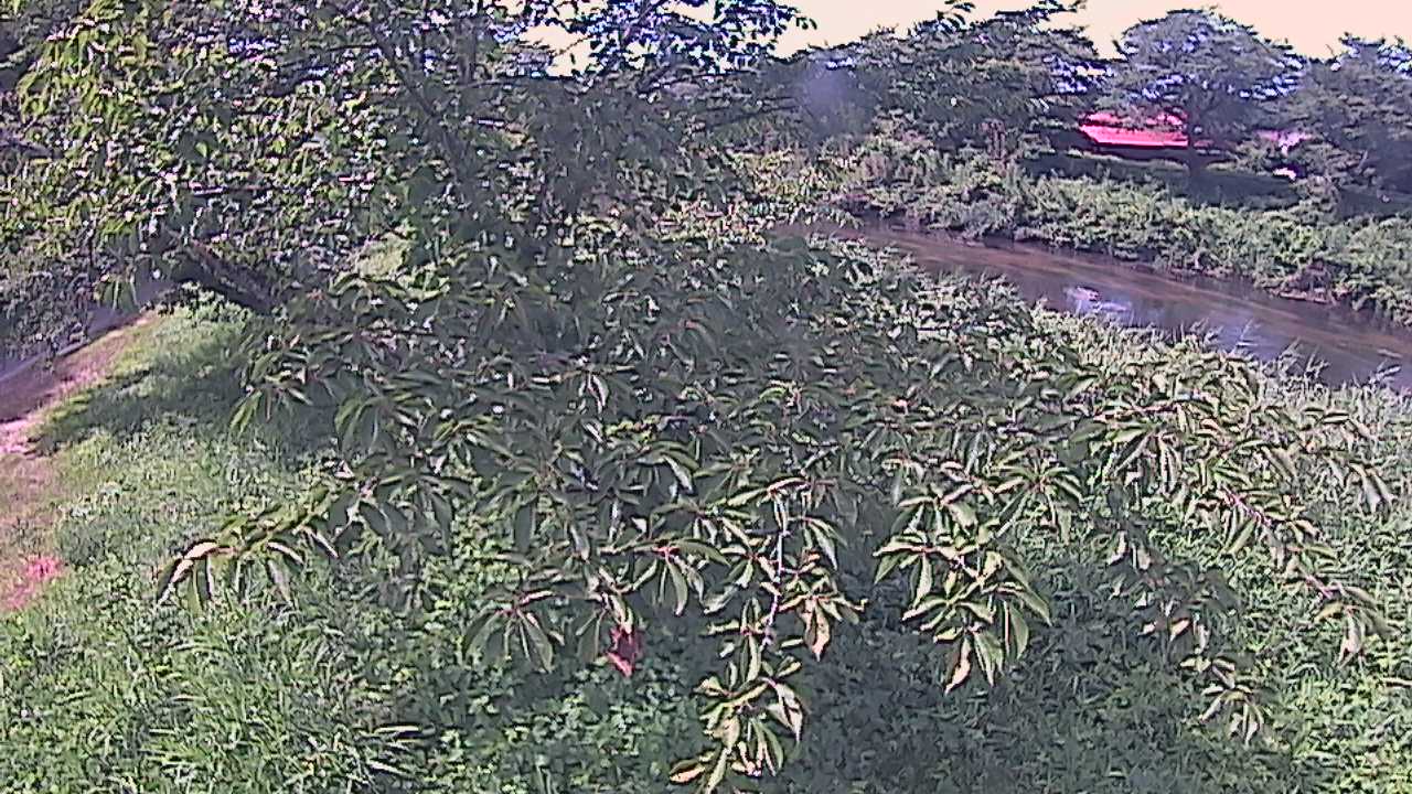 城山　法勝寺川 10k540 左岸
