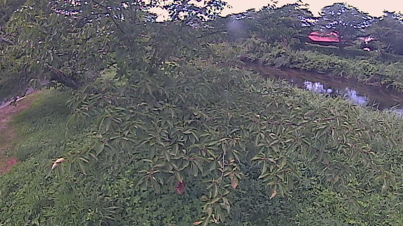 城山　法勝寺川 10k540 左岸