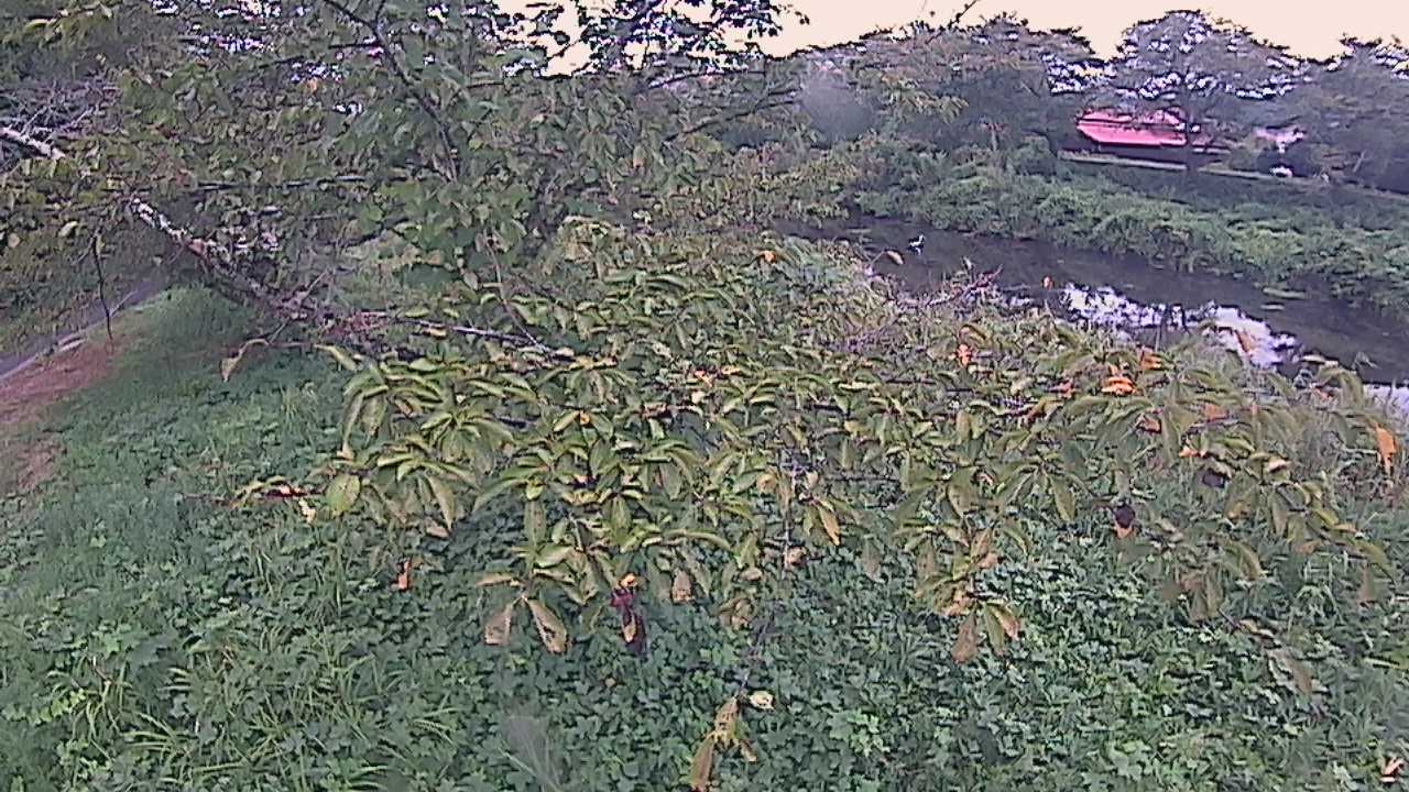 城山　法勝寺川 10k540 左岸
