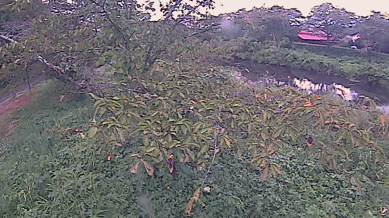 城山　法勝寺川 10k540 左岸