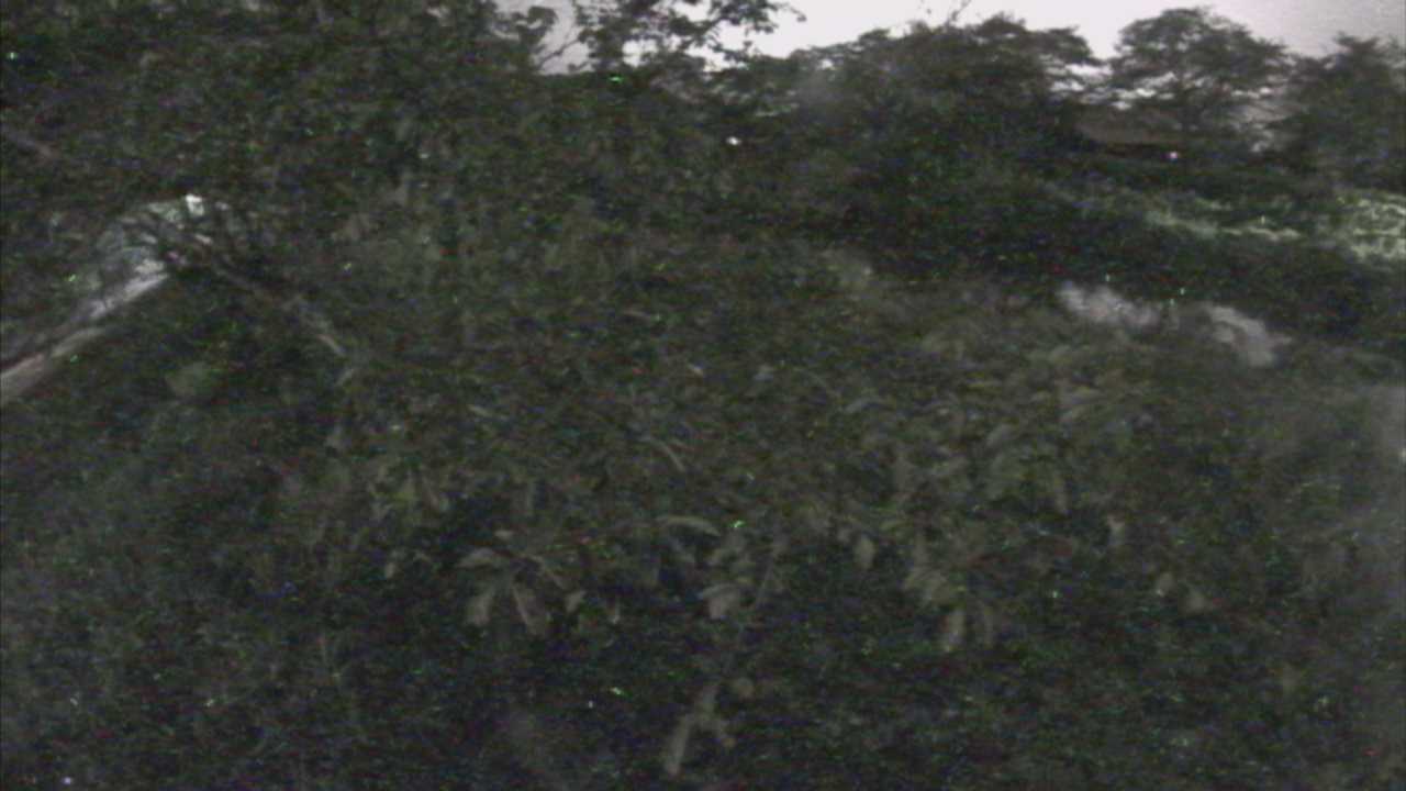 城山　法勝寺川 10k540 左岸