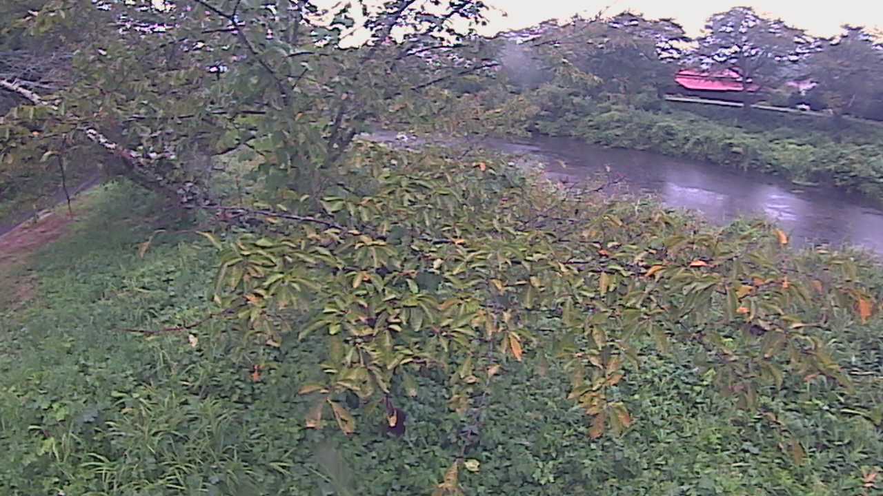 城山　法勝寺川 10k540 左岸