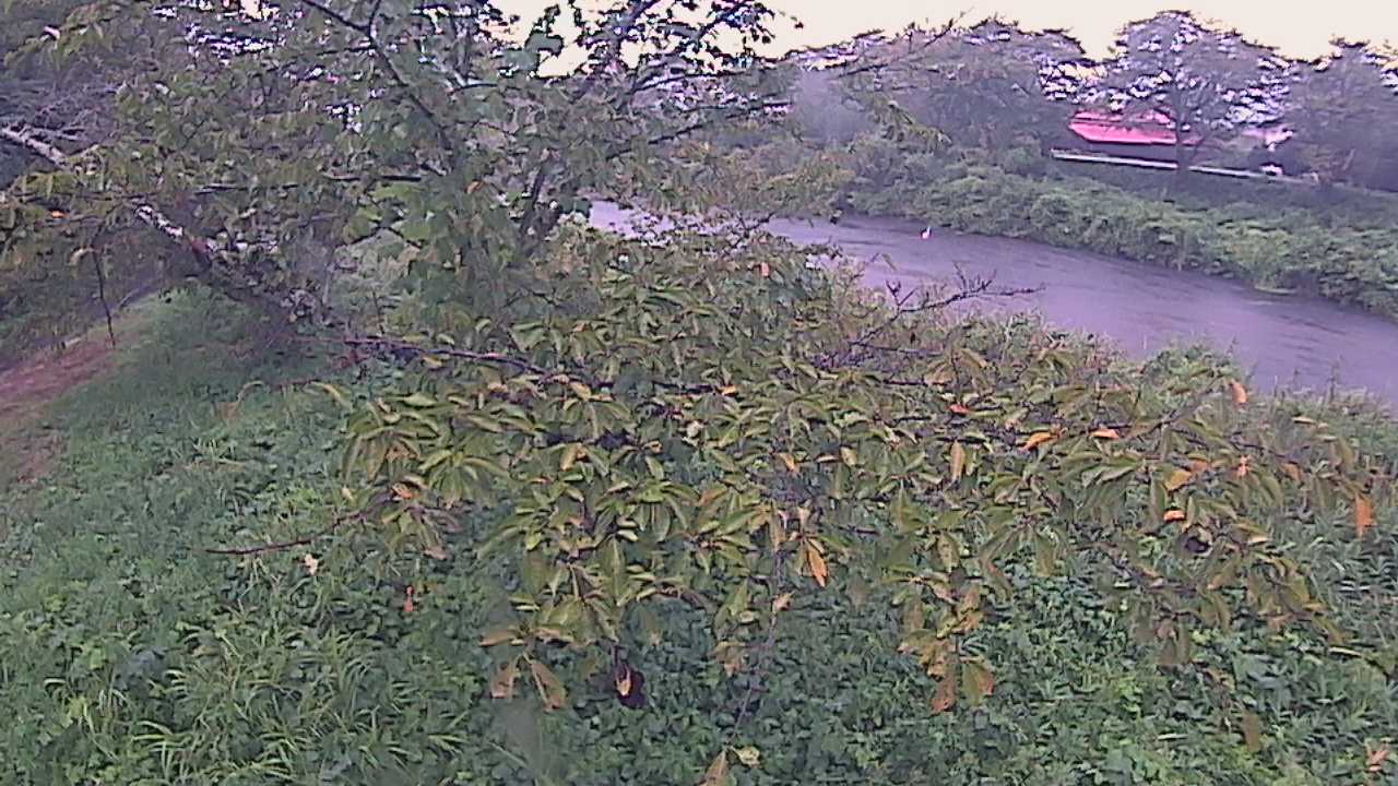 城山　法勝寺川 10k540 左岸