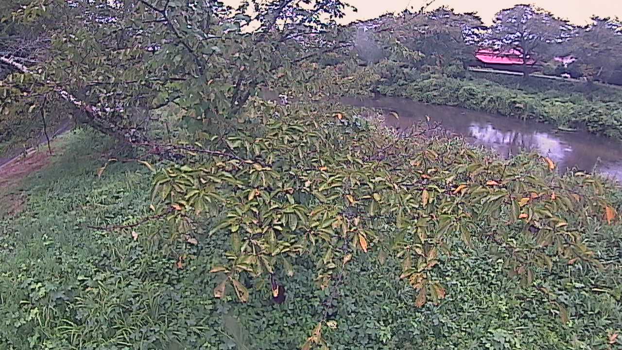 城山　法勝寺川 10k540 左岸