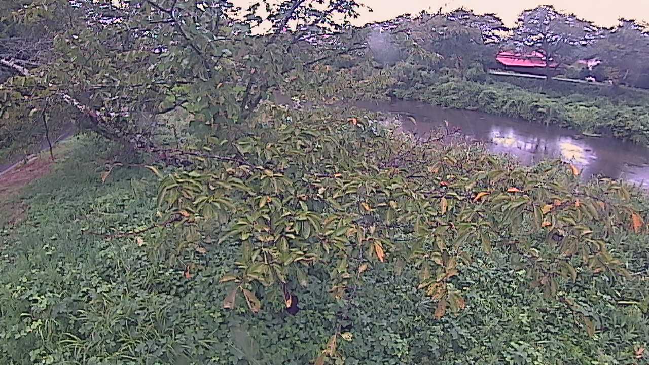 城山　法勝寺川 10k540 左岸