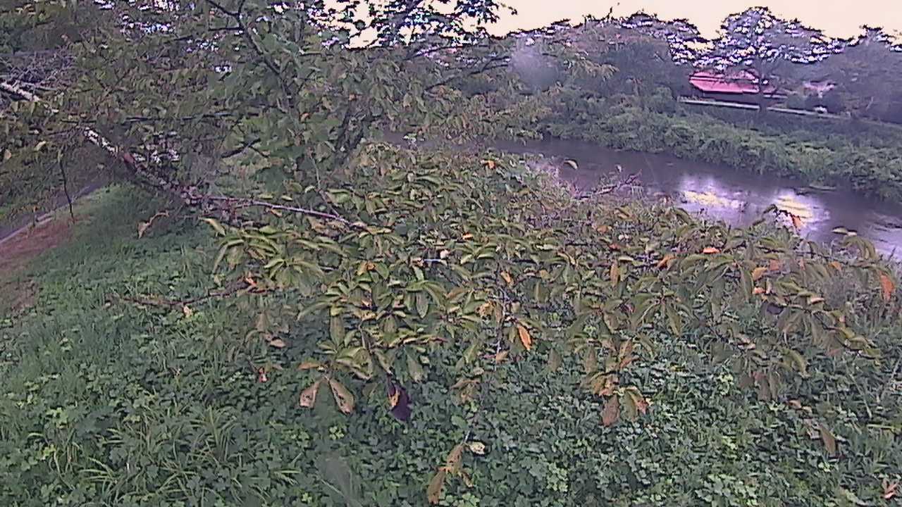 城山　法勝寺川 10k540 左岸