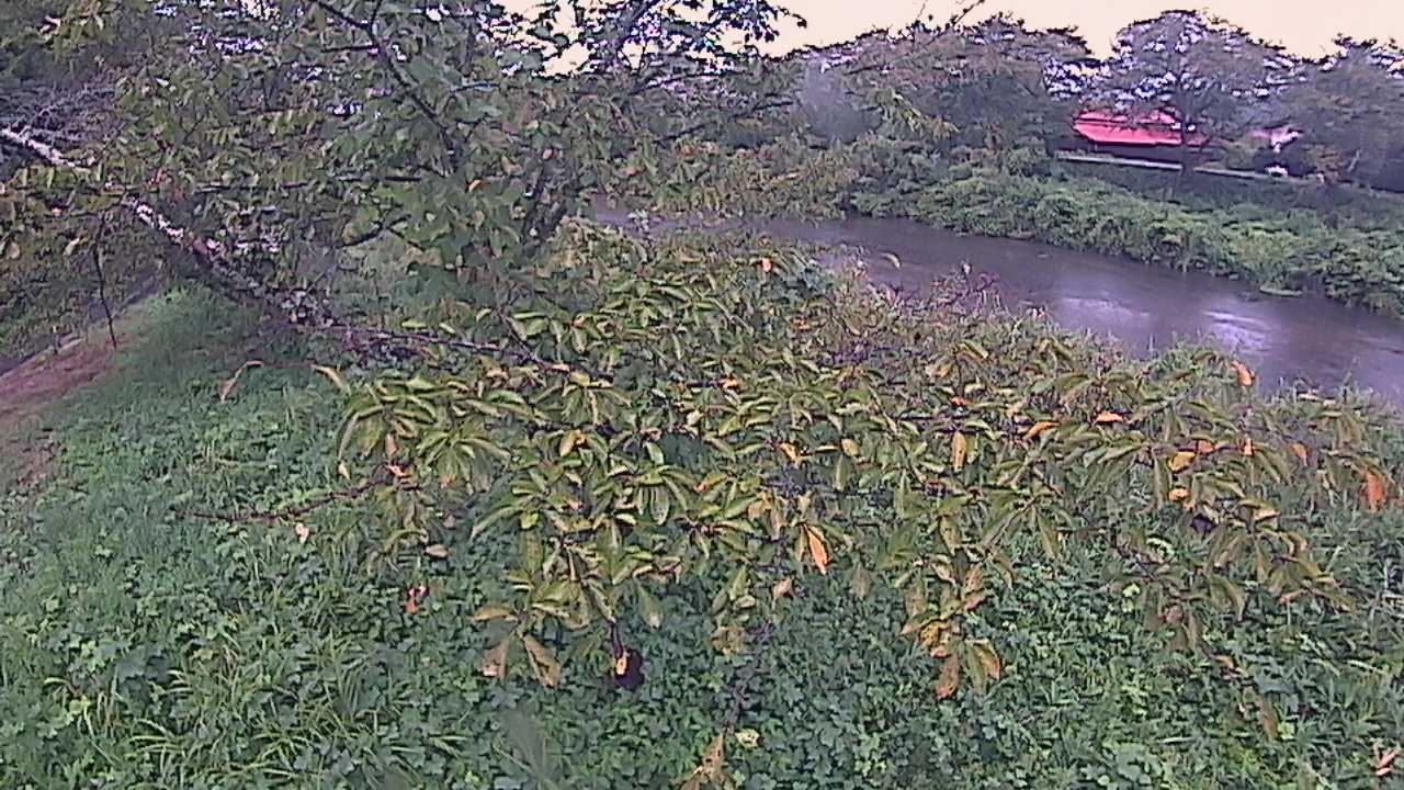 城山　法勝寺川 10k540 左岸
