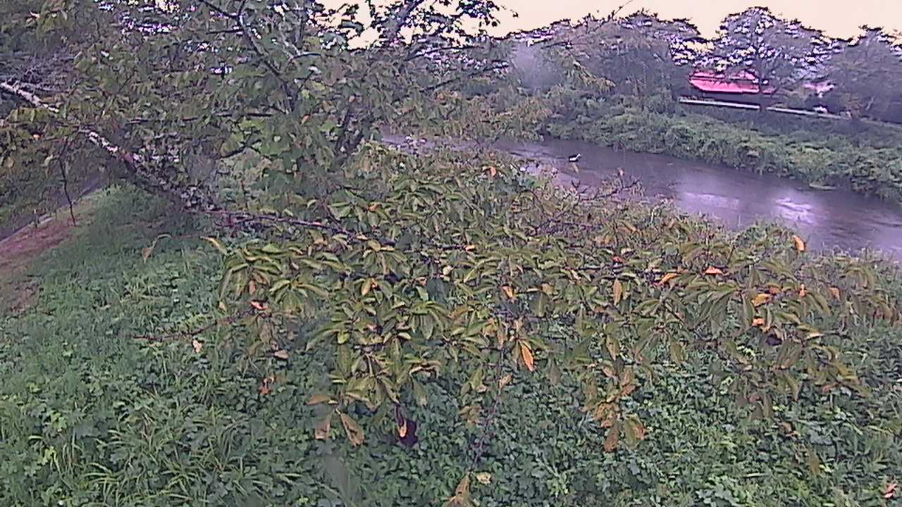 城山　法勝寺川 10k540 左岸