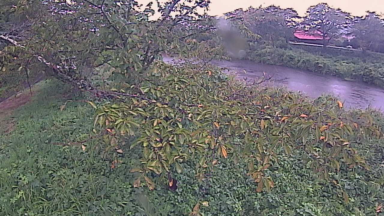 城山　法勝寺川 10k540 左岸