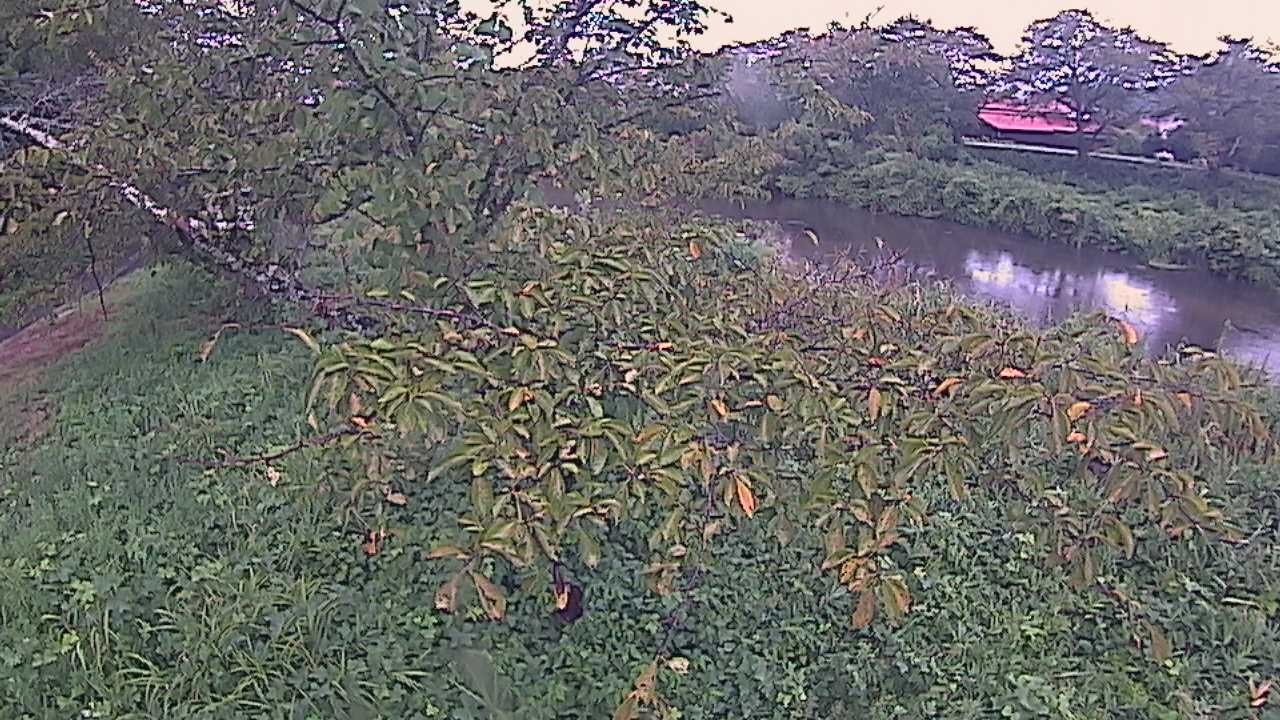 城山　法勝寺川 10k540 左岸