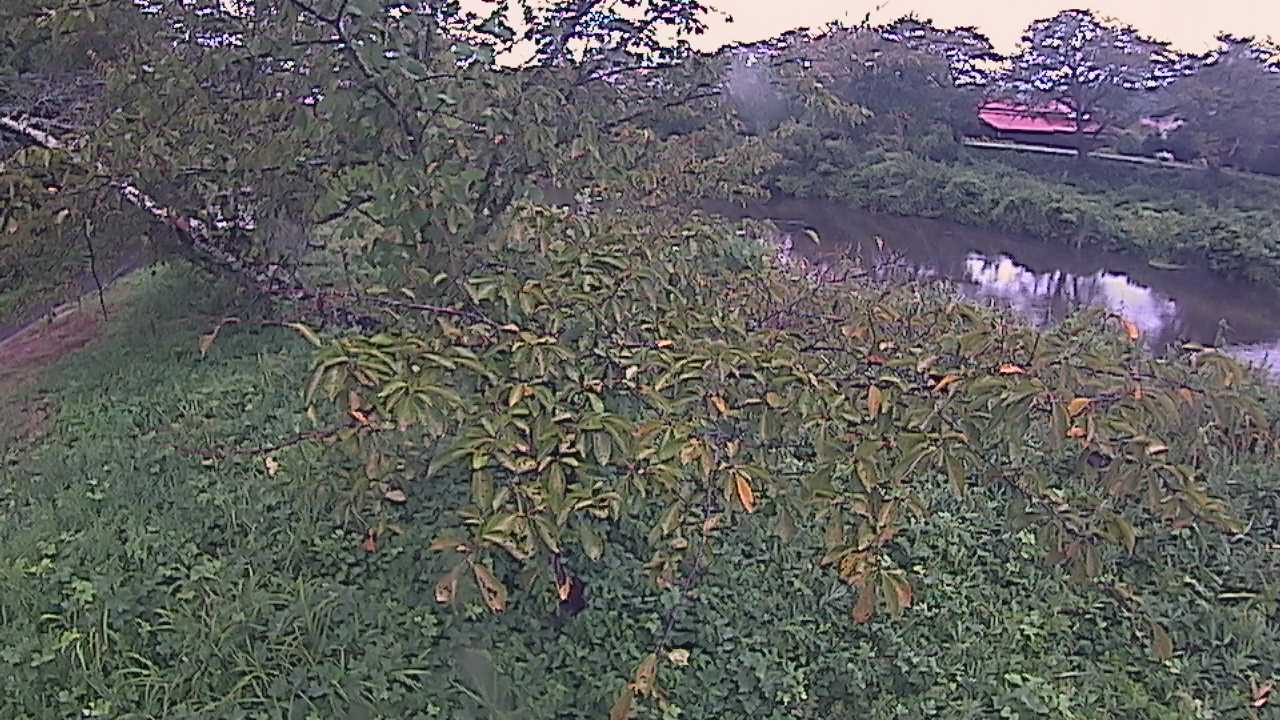 城山　法勝寺川 10k540 左岸